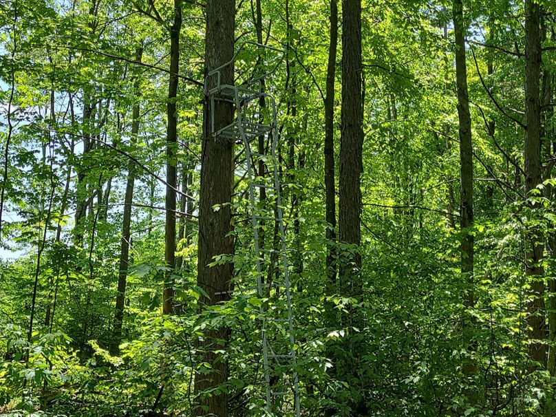 photo_54e30538-e79d-4d25-aba5-00801b5d0646