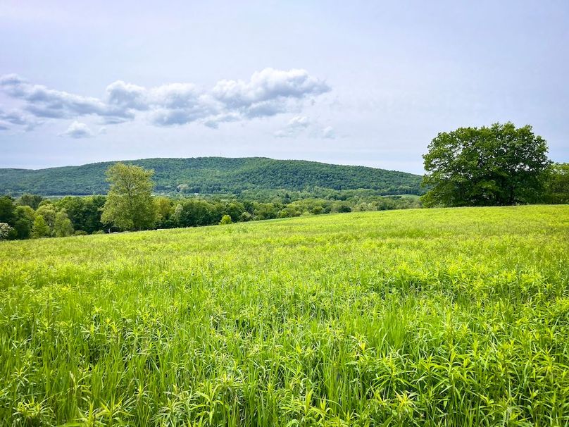 Tioga_31.4_Kemp_Photos_30