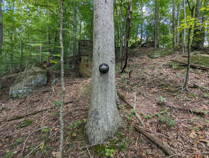 PXL_20230908_181731593