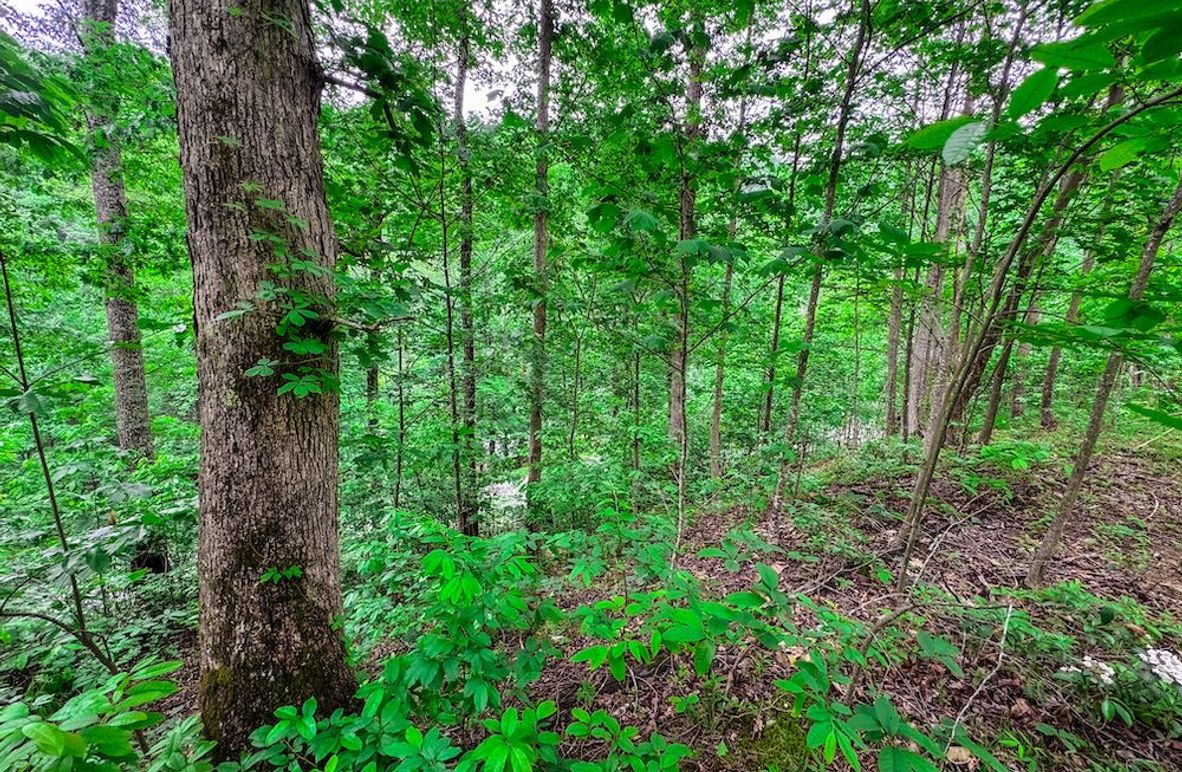 Clay, WV 14.839 AC-06