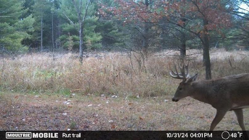 Temp_731870-20241031210632-20241031160159_005008