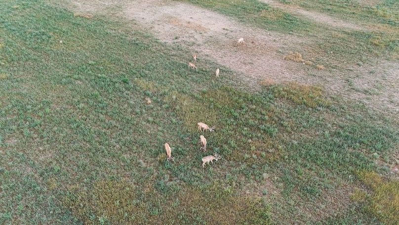 DJI_20240810063130_0042_D