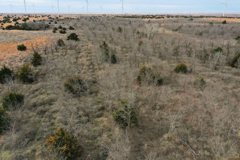 DJI_0578