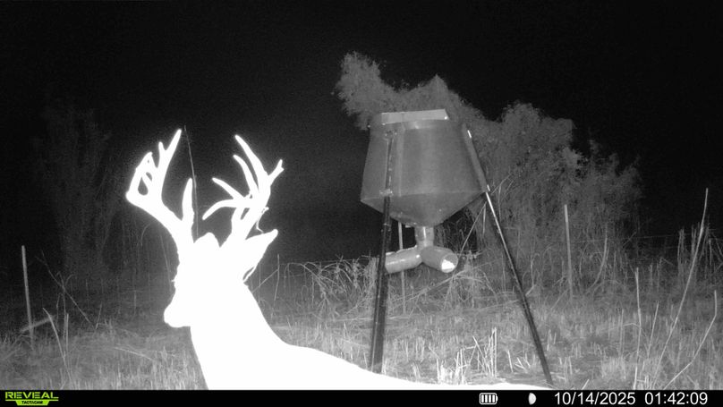 016578005692261-100-4-10142025112244-HD-SYFW00098