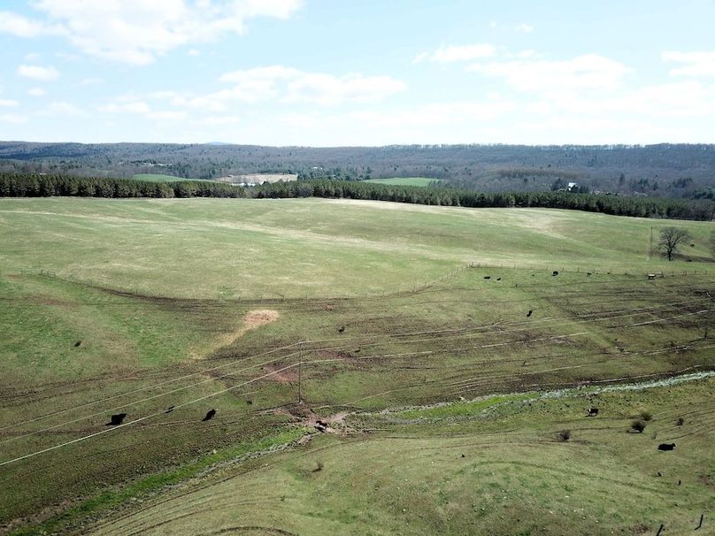 DJI_0012