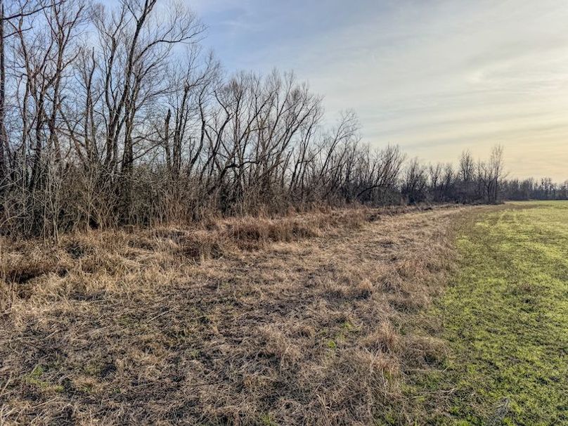 Phillips 8.5 Trahan -14