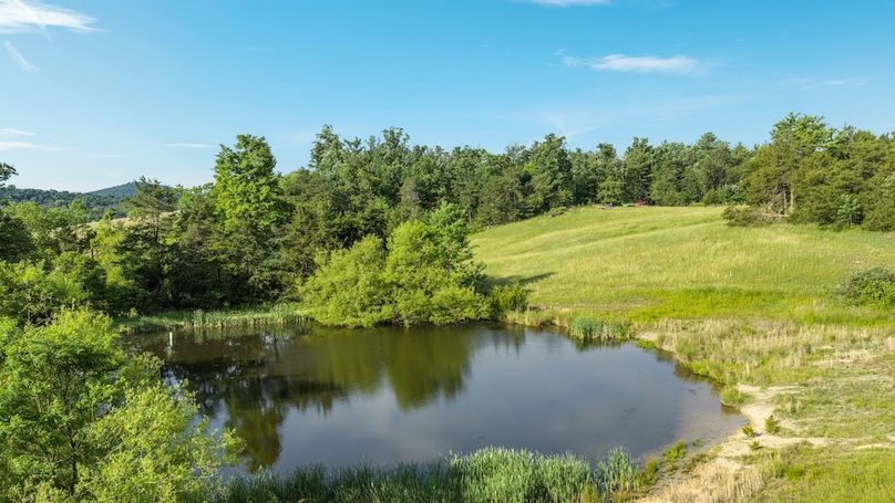 113-DJI_20260602082257_0118_D - 368 Ridge Hollow Rd - Absolute Altitude - 6 - 2026 - 05