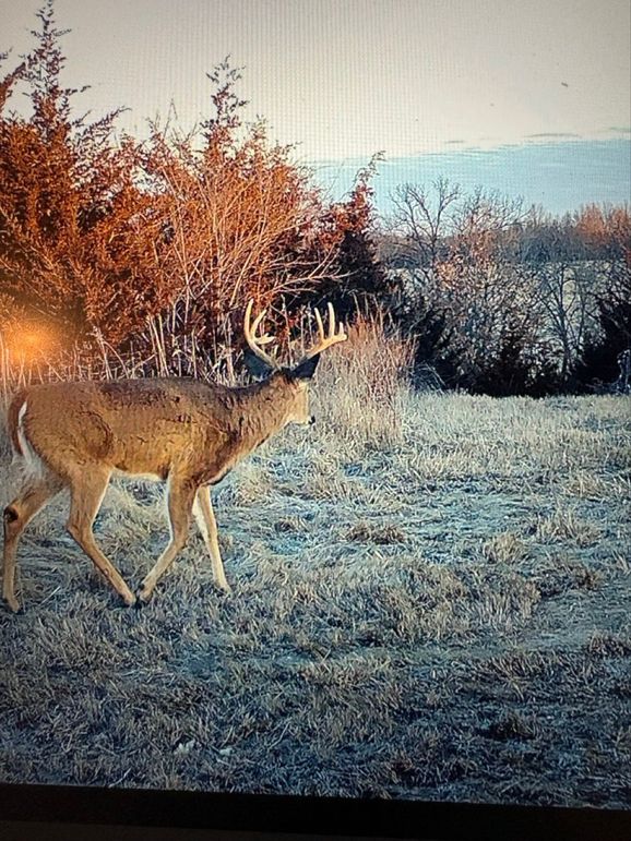 32CE6CB9-0B20-4E32-956A-90E61CE8B61A