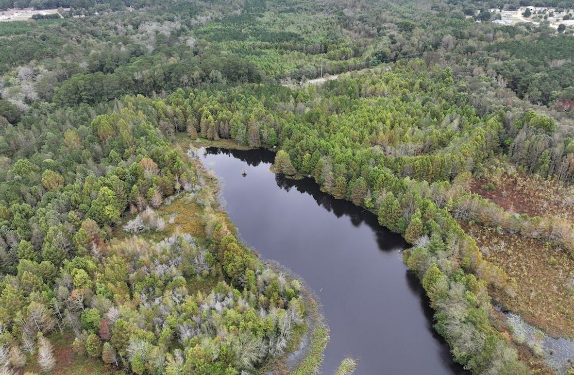 DJI_20251015091744_0140_D