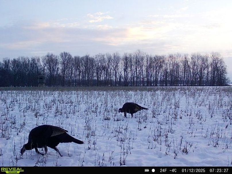 864049057158471-100-4-01122025072326-W1022594