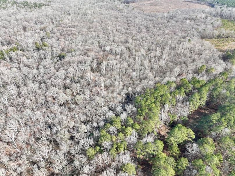 dji_fly_20260120_112104_181_1768926601251_photo