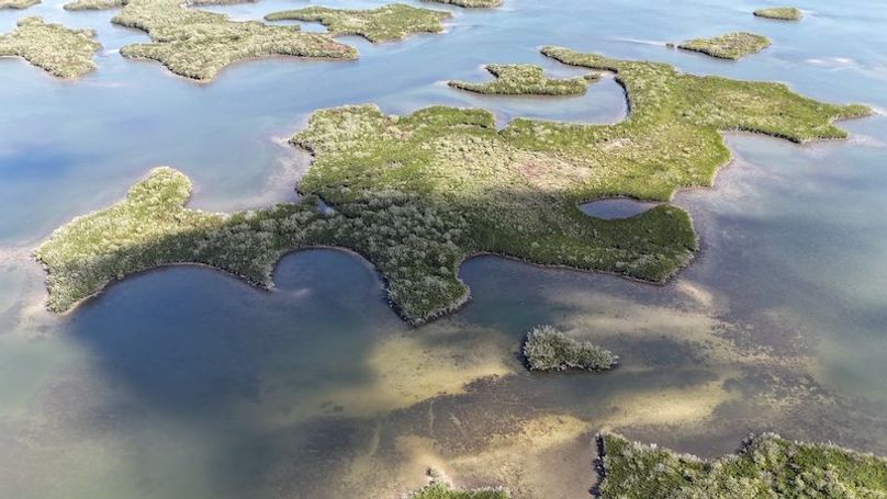 17.17ac, Citrus, Josiah Ronco10