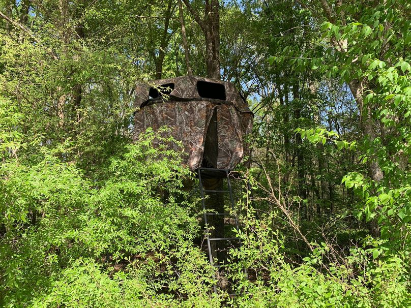 977AAC4D-606B-46DA-8865-437462CA62CF_1_102_o