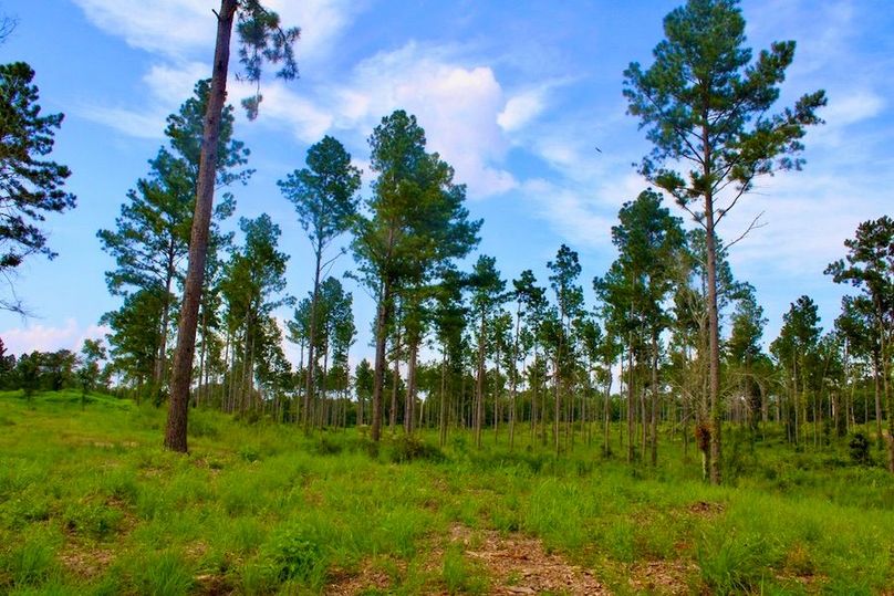 C94865D1-4F9F-4F0D-BA1B-EE04C42D08BD_1_105_c