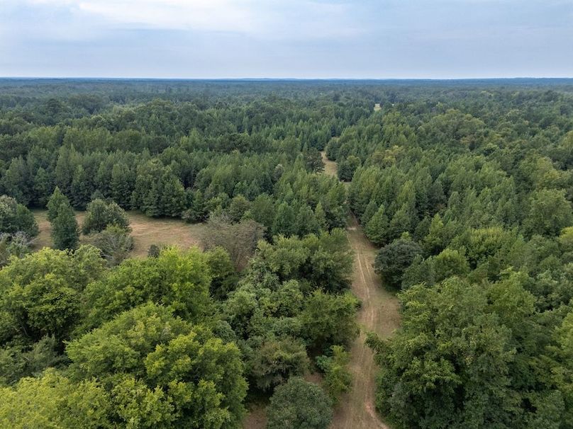 10 Jefferson 117ac - bethard-04