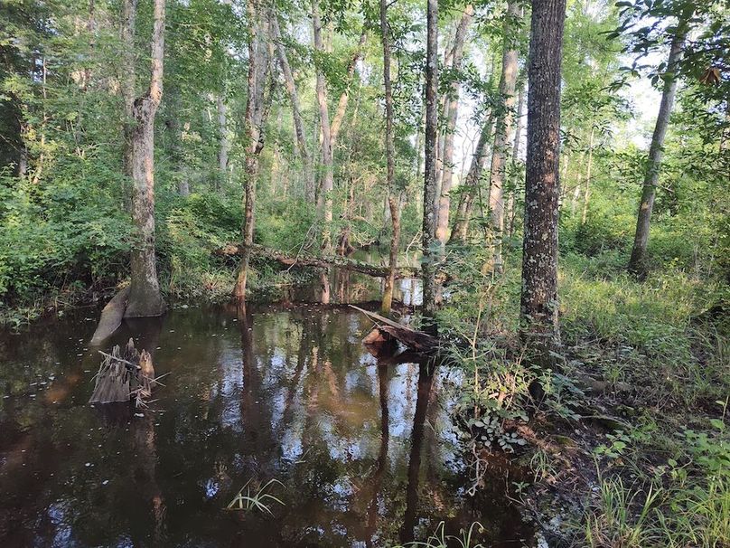 IMG_20250611_183035492