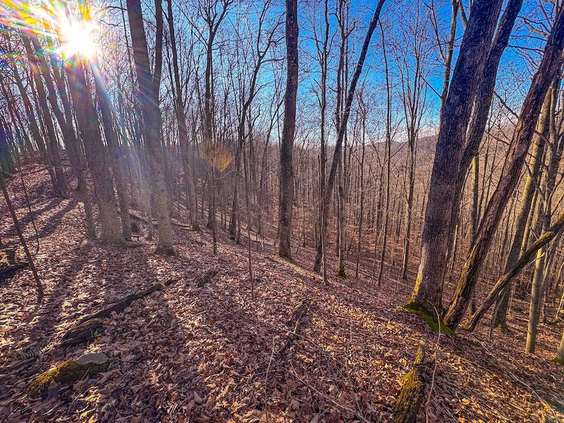 Lewis, WV 82.87 AC Barger-44