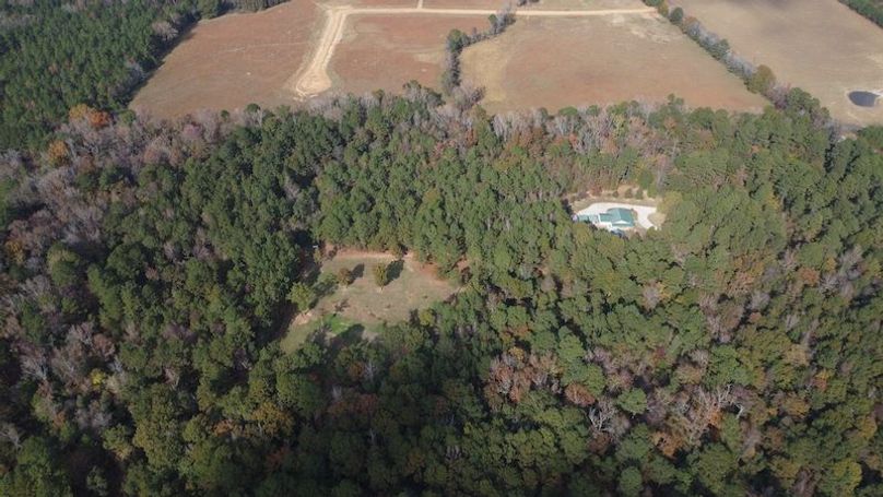 Dal_40_Denton20251113_0343