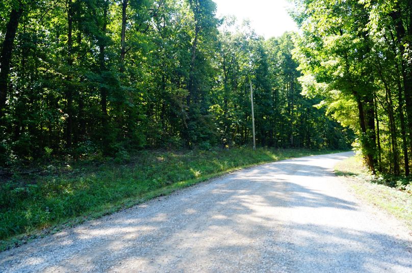 3.Road Frontage with Electric