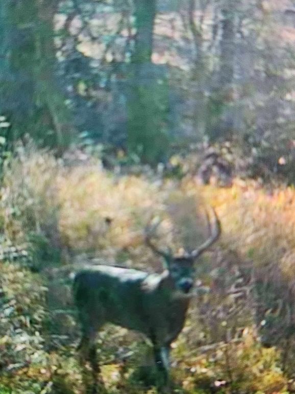 received_7028044403970975