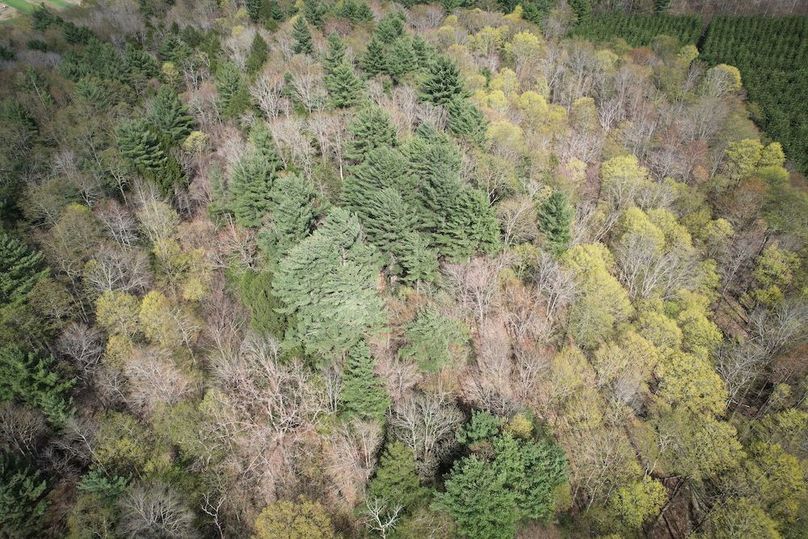 Tioga_76.65_Matyjas_Photos_42