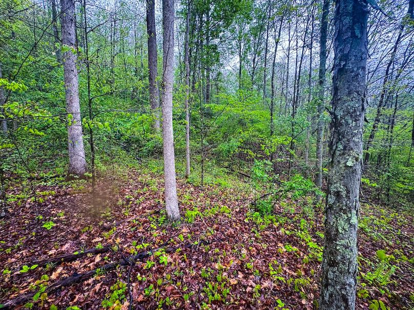 Lewis, WV 34.74 AC Graham-12
