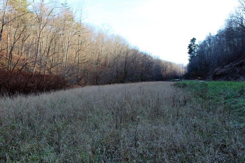 003 long narrow field along the county black top road