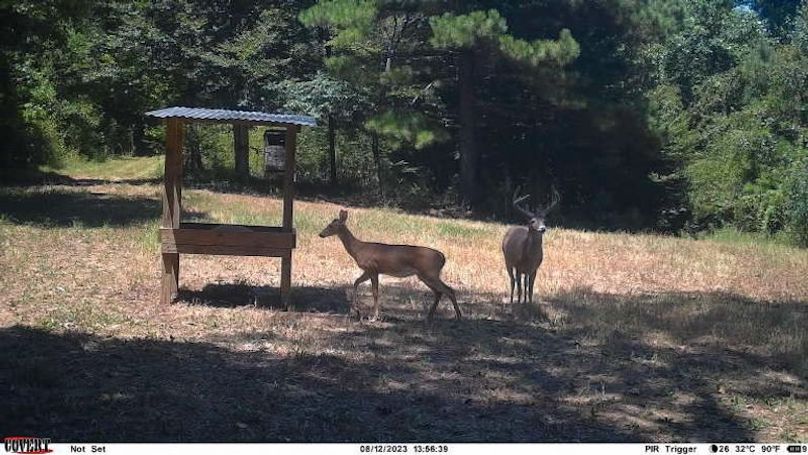 Claiborne Co - 274 - Marian-031