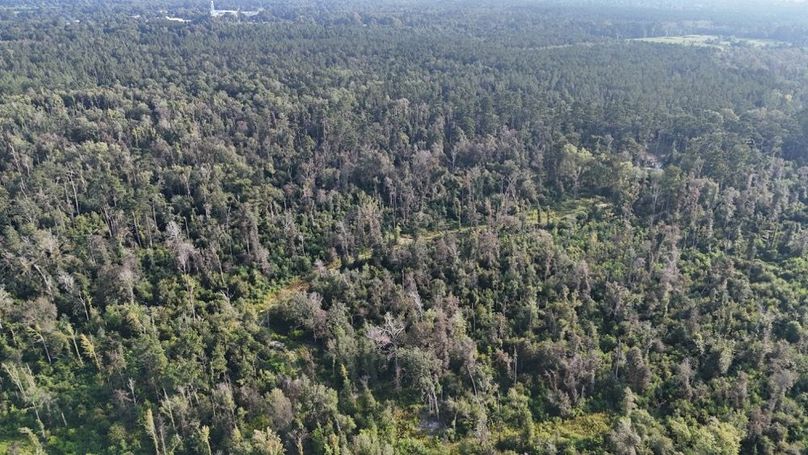 dji_fly_20250903_215840_0020_1756926955075_photo