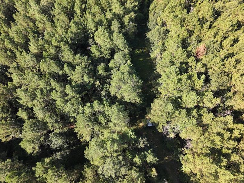 dji_fly_20250908_094150_0422_1757354101448_photo