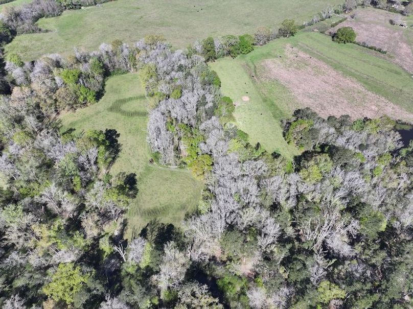 dji_fly_20260317_085654_0391_1773768881439_photo