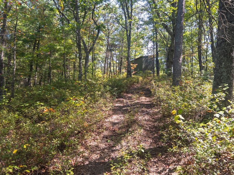 08_13.39_Alleghany_VA