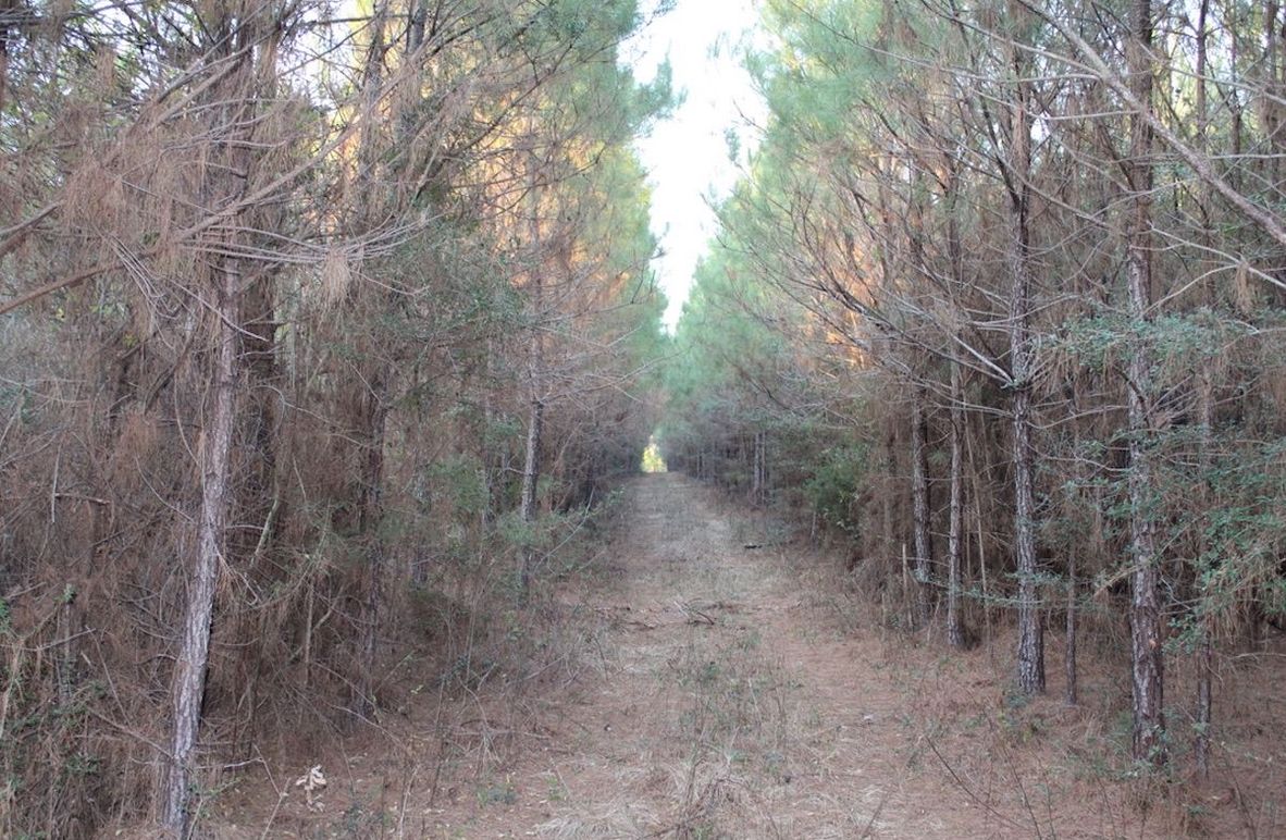 5E12BF3F-4EA2-4ECF-AA30-11D146145BCB_1_105_c