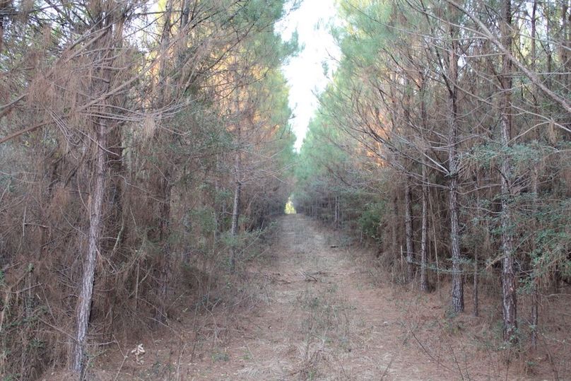 5E12BF3F-4EA2-4ECF-AA30-11D146145BCB_1_105_c