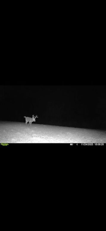 Screenshot 2026-02-27 at 4.05.53 PM