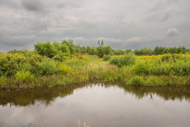 ATCHISON CO MO 31.47_9