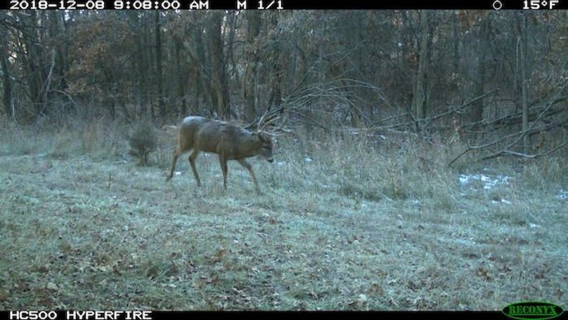 2018-12-08 09-08-00 M 1_1