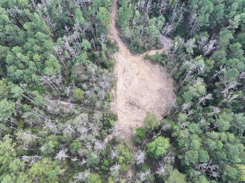 dji_fly_20251001_145436_0634_1759492684581_photo