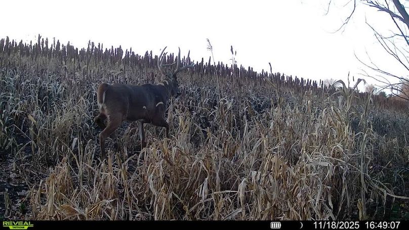 016578000659844-94-3-11182025164907-SYFW12884