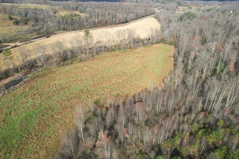 dji_fly_20251120_024410_946_1763686300756_photo