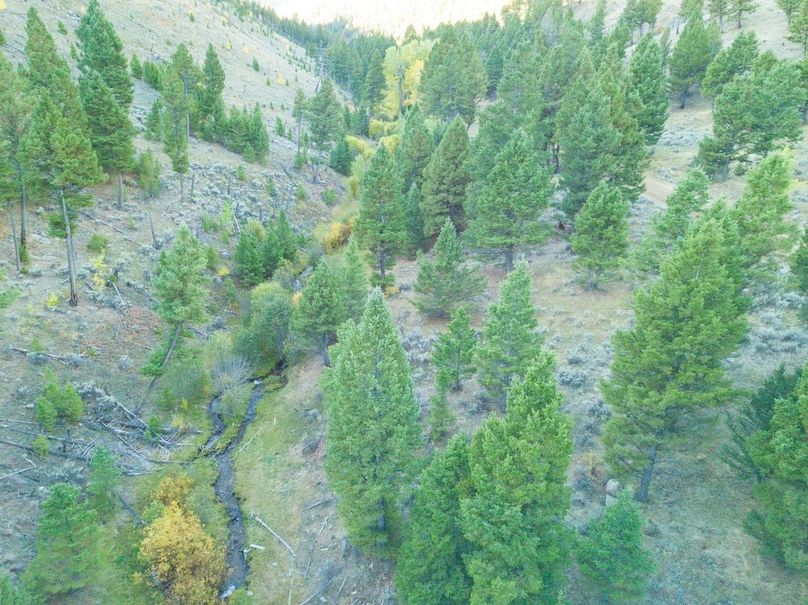 20240925-DJI_0094