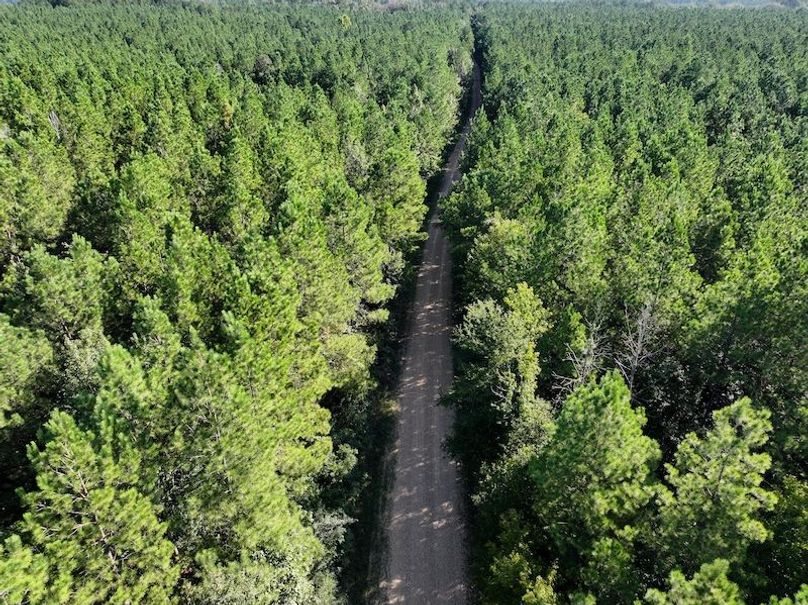 dji_fly_20250908_093758_0414_1757354104536_photo