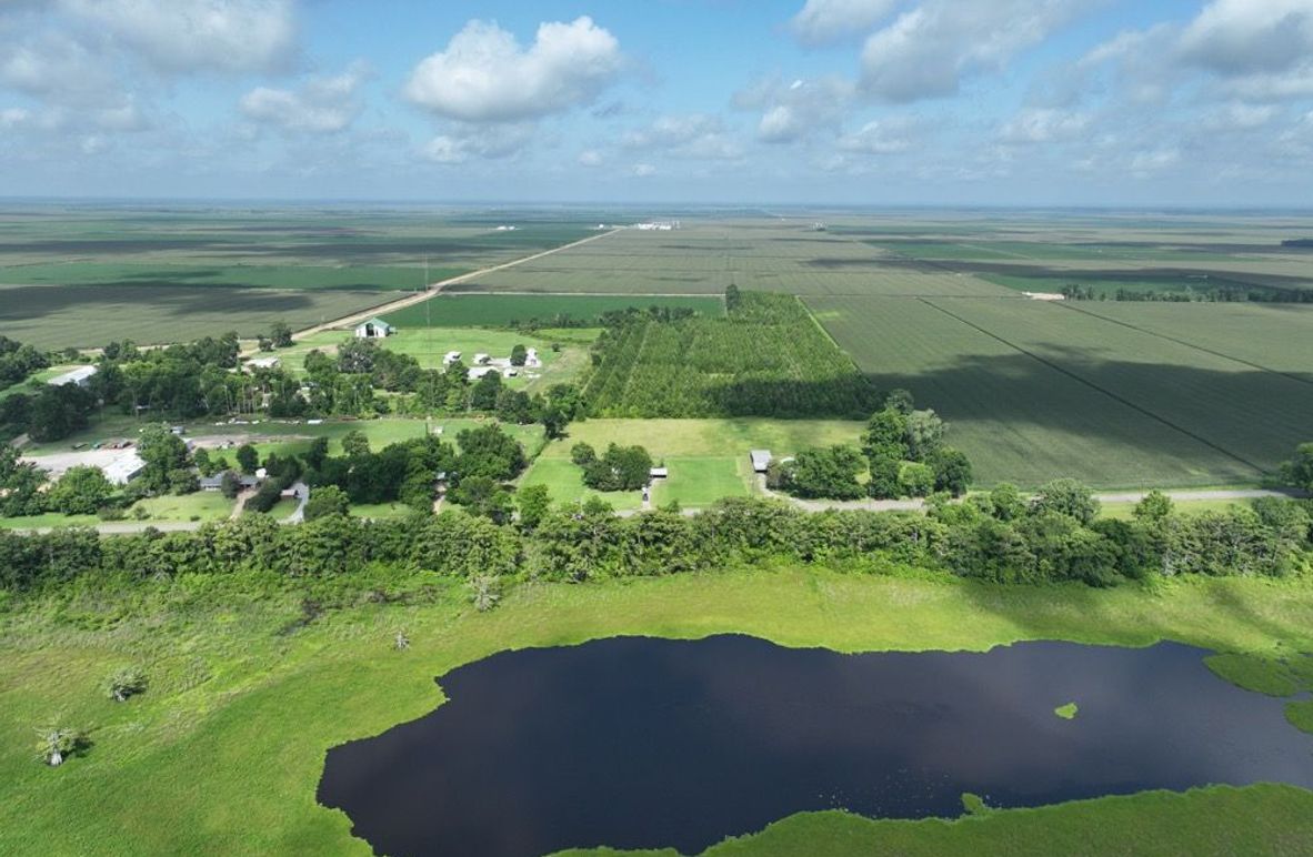 dji_fly_20250620_095632_4_1750611712564_photo