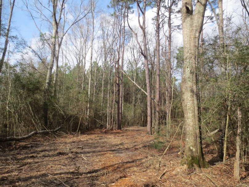 3B3A92EE-318F-4F00-8CA9-BF189967FEAE_1_105_c