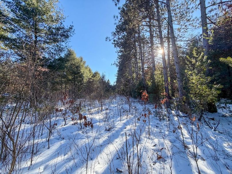 Monroe 68.2 - 120 of 120