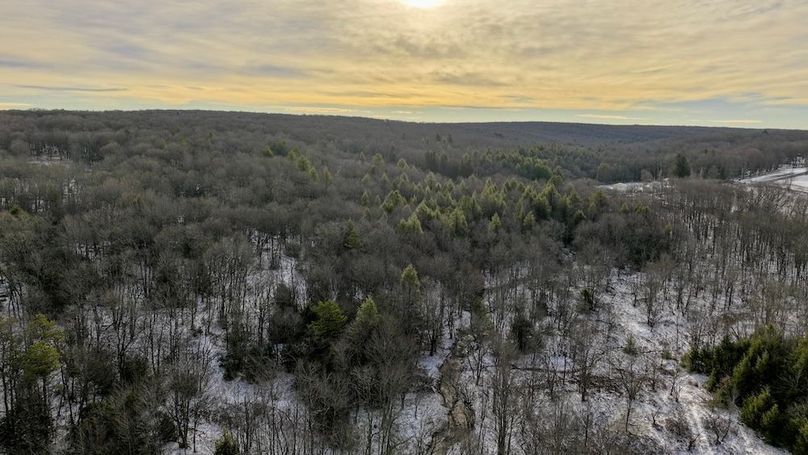 Somerset, 23.59, Keller-26