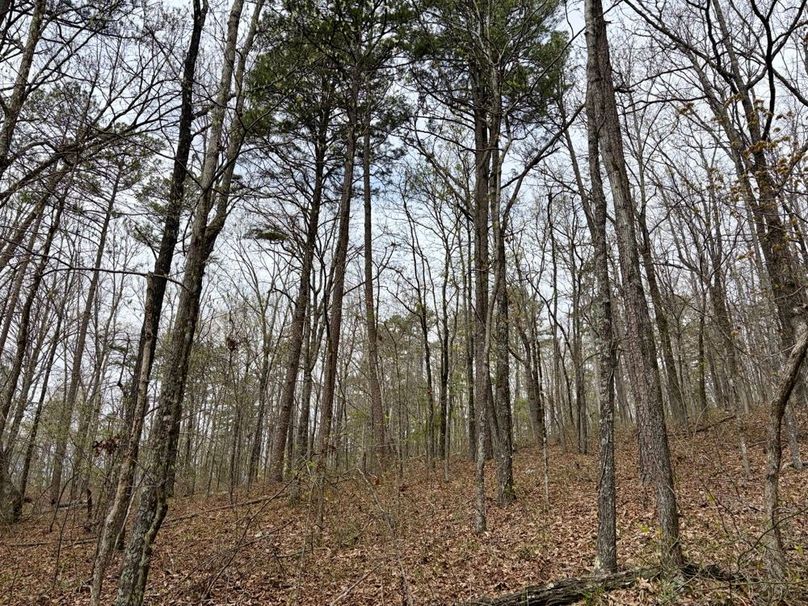 7CC30CBB-66CB-426D-99C3-178CA61B62FF_1_201_a