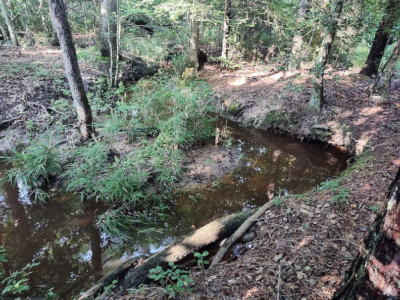 IMG_20250611_180854662