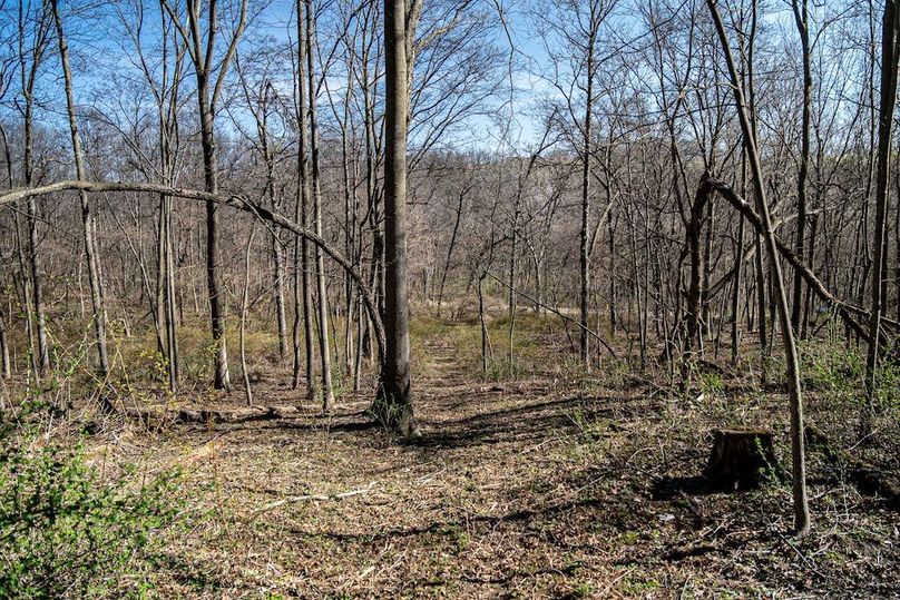 Jo Daviess IL 23.5_18