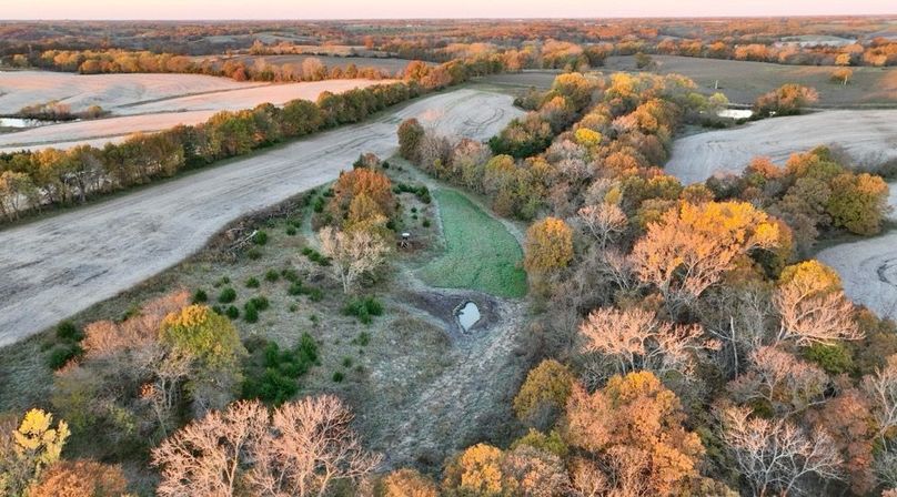 Screenshot 2025-11-20 at 10.06.47 AM